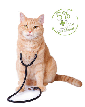 Cat With Stethascope