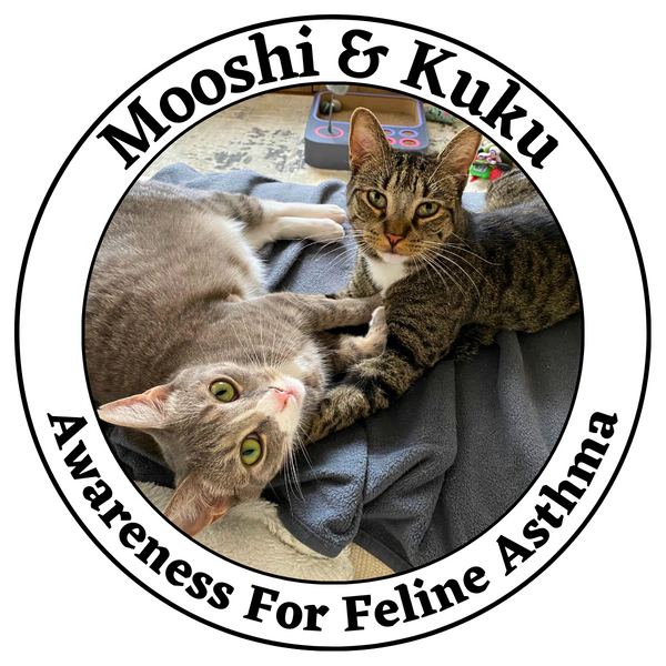 Cat Health Awareness- Feline Asthma