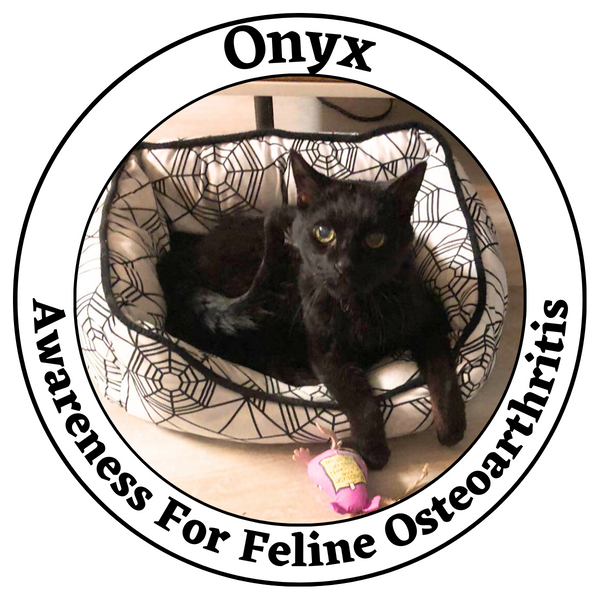 Cat Health Awareness- Feline Osteoarthritis